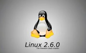 如何对待Linux曝高危漏洞，按住Enter键70秒可触发这一事件