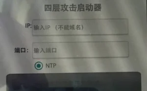 90后组建“黑客联盟”最小的年仅18岁