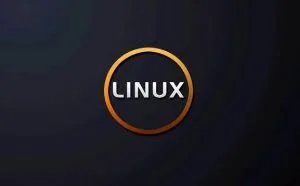 Web白帽子黑客之 Linux基础
