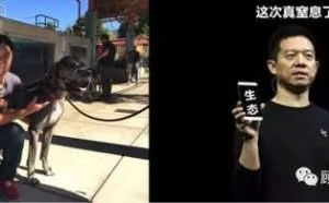 乐视要求别造谣贾跃亭 顾颖琼:你回北京 我就道歉
