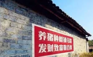 这个农村小伙，靠刷墙年入千万，BAT京东排队找他，公司估值10亿