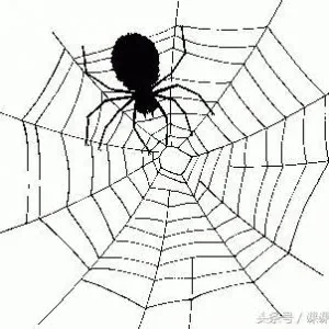 网络攻防说明：web开发