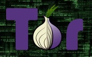Tor浏览器严重漏洞或泄露用户真实 IP 地址