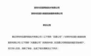迅雷“内讧”结束？大数据公司将不再使用迅雷品牌