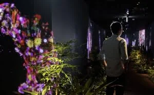 在日本代理“吃鸡”的，居然是一个靠AV发家的公司