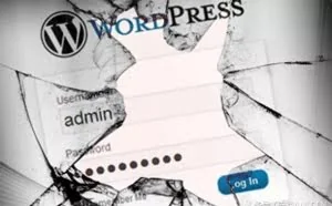 WordPress插件后门影响30万个网站 新型安卓木马2天销毁一部手机
