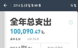 支付宝“个人年度账单”今天上线 引发网友热议