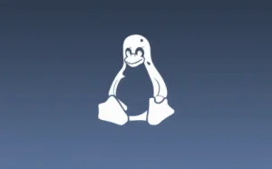 黑客利用存在 5 年的漏洞感染 Linux 服务器并获利