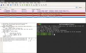 Nmap Ping 扫描(防火墙 Bypass)