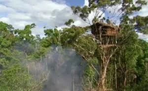 BBC纪录片《人类星球》陷“造假”风波：摆拍就是造假？