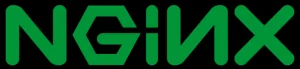 Nginx 主线版 1.14.0 发布 Bug 修复版本