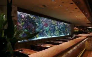 黑客利用鱼缸温度计窃取了赌场的数据库