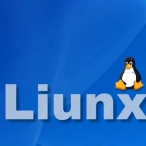 每个 Linux 新手都应该知道的 10 个命令｜