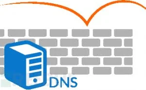 Whonow：一款可实时执行DNS重绑定测试的DNS服务器
