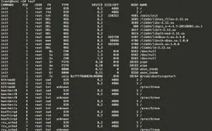 Linux系统诊断神器：lsof用法学起来！