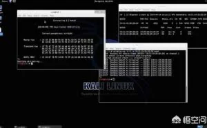 用于渗透测试的Linux发行版有哪些？