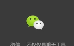 微信再次确认“内存杀手” 256G内存也不够它占