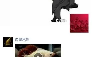 读文章/朋友圈大变样 体验微信最新功能