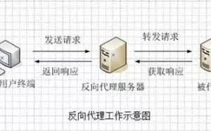 IIS实现反向代理