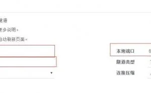 免费内网穿透服务用Sakura Frp最好！