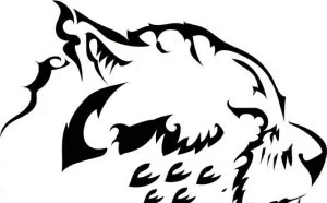 cheetah-gui：基于字典的webshell密码爆破工具