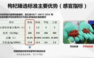 阿里透明实验室武汉揭牌 首发网售枸杞标准