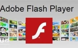 Flash——早该覆灭的王朝