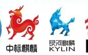 中国的操作系统-Linux下的数据安全