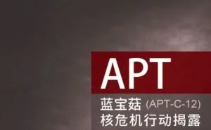 谁家的黑客，对我们的核机密这么感兴趣？