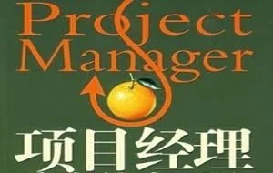 安全服务项目经理