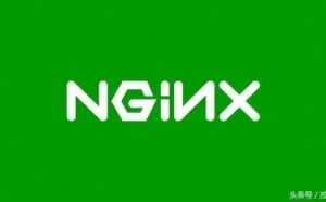 技术学派：带你详细解读NGINX