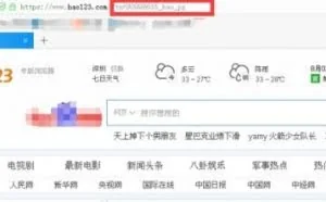 电脑浏览器主页被劫持？原来是Rootkit病毒“独狼2”从中作祟