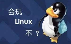 每个 Linux 新手都应该知道的 10 个命令