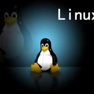20个Linux服务器性能调优技巧