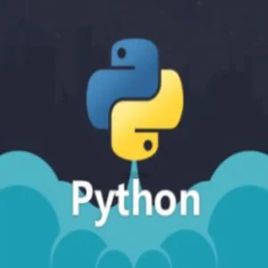Python 教程：从零到大师