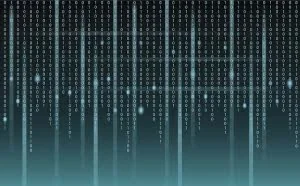 面对网络黑产，谁应该承担更大责任？