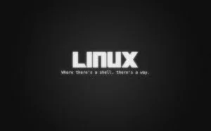 用于与非 Linux 用户一同工作的 Linux 命令行工具