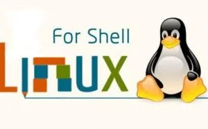 Linux运维人员需要掌握一门编程语言吗？