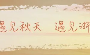 26岁登上福布斯榜！浙大校友实力诠释从黑客到CEO的蜕变