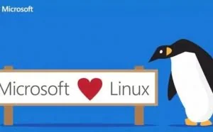 Linux成为微软Azure上最流行的操作系统