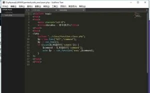 渗透测试入门——命令执行漏洞详解