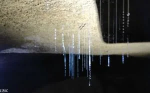 四川500米深洞发现奇异昆虫景观