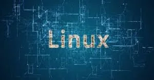 做Linux想要年薪50W，得搞懂这几个问题！