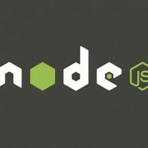 拒绝 Python、C 和 Go，我只用 Node.js！