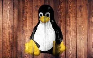2018 年最好的 Linux 发行版