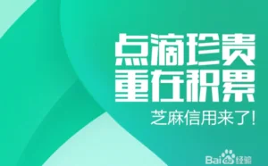 如何提高你的支付宝“芝麻信用”积分