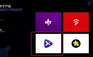 王欣叫你回家交会员费了！区块链项目Xinplayer或是下一个快播？