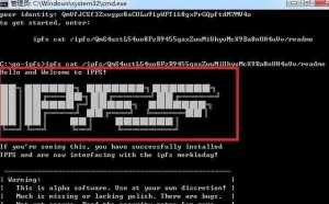 IPFS官方白皮书