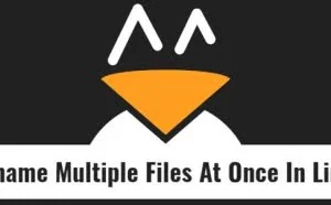 如何在 Linux 中一次重命名多个文件