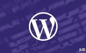 WordPress设计bug+WooCommerce漏洞导致网站存在被劫持风险